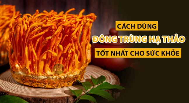 Lưu ý cách dùng đông trùng hạ thảo tốt nhất cho sức khỏe