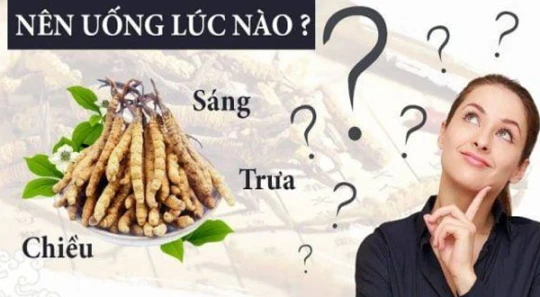 Thời điểm uống đông trùng hạ thảo để đạt hiệu quả tốt nhất