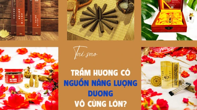 Tại sao trầm hương mang nguồn năng lượng dương vô cùng lớn?