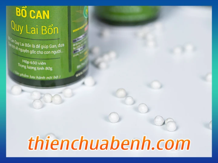 Bổ Can Quy Lai Bổn